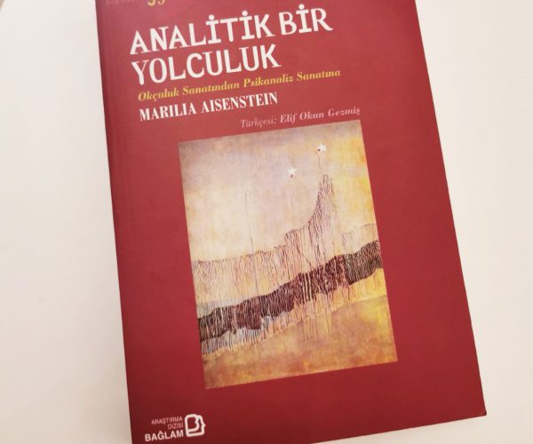 Analitik bir Yolculuk